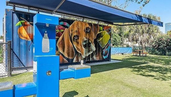 Club dog park with a mural and a pet water station